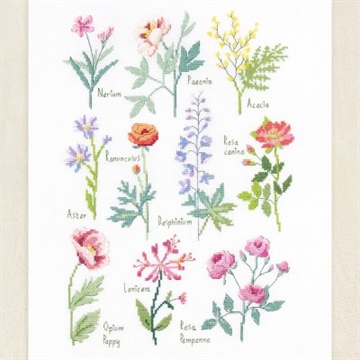 Botanical Sampler - DMC